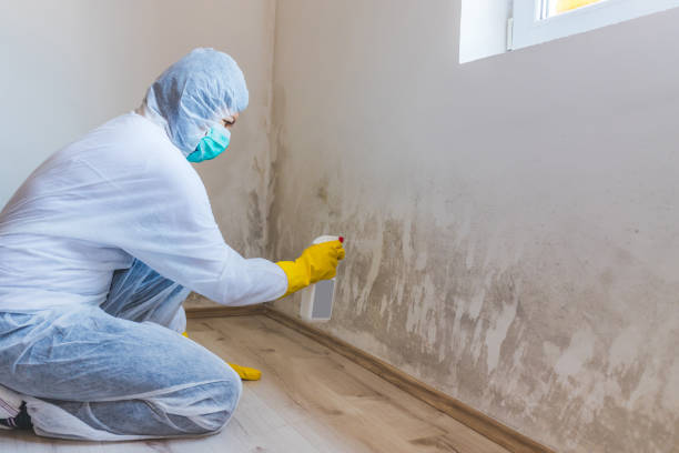 Licensed Crawl Space Mold Removal service in Catharpin, VA - WQB Mold Removal