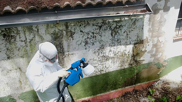 Top rated local Crawl Space Mold Removal specialists in Catharpin, VA